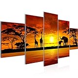 Afrika Sonnenuntergang Bild Vlies Leinwandbild 5 Teilig Savanne Grau Orange Schlafzimmer Flur 000253