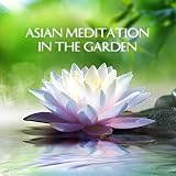 Banhu & Bianzhong for Chakra Balancing