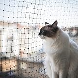 ALLEGRA Balkon Katzennetz !!!B-Ware MIT KLEINEN FEHLERN!!! Netz Schutznetz Katzengitter Schwarz 4x3m Katzenschutznetz Katze Fenster Balkonschutz Balkonnetz Katzen S