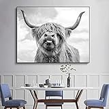 QWEWQE Hochlandrind Bild Leinwand Druck, Wall Art Freedom Highland Kuh Poster, Cow bild Gemälde für Wohnzimmer, Dekoration und Wanddekoration (70 * 100 cm)