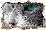 Wandaufkleber 3D Spiegel Ansicht Durchbrechen die Mauer Vinyl Wandsticker Katze mit blauen Augen Entfernbarer DIY Vinyl Wandtattoo für Wohnzimmer, Schlafzimmer,Kinderzimmer 53x80