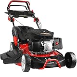 Rasenmäher mit Verbrennungsmotor 173 cc, Benzin, 4,35 PS, 3,2 kW, selbstfahrend, Schnittfläche 53 cm, Korb 60 L