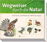 Wegweiser durch die Natur: Die Tiere und Pflanzen Mitteleurop