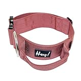 Hey Pets Hundehalsband für große Hunde M 30 - 35 cm verstellbare Länge, 4 cm breit - Dein Halsband mit Griff aus hochfestem Nylon und massiver Schließe (Trainingshaldband) in Fuchsia (rot)