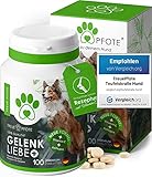 TreuePfote Gelenktabletten für Hunde mit Grünlippmuschel, Teufelskralle und MSM I Gelenktabletten Hund I 100 Tabletten = 6 Monate I Hohe Akzeptanz unserer Vierbeiner I Deutsches Naturproduk