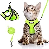AOKCATS Katzengeschirr mit Leine Ausbruchsicher, Katzenleine mit Geschirr für Katzen, Verstellbar Weich Reflektierend Cat Harness Set für kleine Kitten, Kaninchengarnitur für Spaziergang S Grü