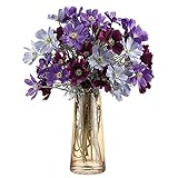 Roylvan Glas Vase, 8.7 Zoll / 22 cm Blumen Vase mit Goldener Linie Öffnug Moderne Klare Blumentöpfe Dekorative Pflanzen Vase Pflanzenbehälter für Heim Büro Party Hochzeit Tischdeko, B