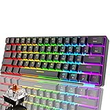 60% mechanische Tastatur, kabelgebundene Typ-C-Gaming-Tastatur, kabellose 61-Tasten-Bluetooth 5.0-Dual-Mode-Tastatur, RGB-Regenbogen-LED-Hintergrundbeleuchtung (schwarzer/brauner Schalter)
