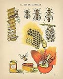 Werbeschild mit Bienen-Blumenmuster, Metall, Wandbild, Pop-Art-Entomologie, Geschenk, Heimdekoration, Vintage, Retro, Metallschild, zum Aufhängen, Blechschilder 20,3 x 30,5