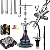 Aladin Shisha MVP 500, Edelstahl-Shisha-Set mit Diffusor, Silikonschlauch-Set, 4 Anschlüsse, Naturkohle & Kohleanzünder, Farbe:Black Shiny