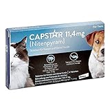 Capstar Tabletten für Katzen u. kl. H