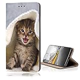 KX-Mobile Hülle für Samsung Galaxy Grand Prime Handyhülle Smart Magnet mit Motiv 445 Katze in Deck