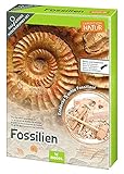 moses. 9832 Expedition Natur Das große Fossilien-Ausgrabungs-S