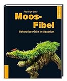 Moos-Fibel: Dekoratives Grü