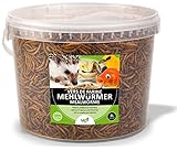 UGF - Premium Mehlwürmer getrocknet 3 Liter Eimer, Vogelfutter Wildvögel Ganzjährig, Igelfutter, Hühnerfutter, Eichhörnchen Futter, Hamster F