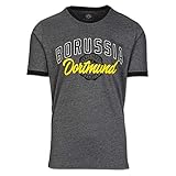 Borussia Dortmund Basic T-Shirt (L, grau)