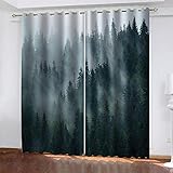 YTSDBB Vorhang kinderzimmer Junge Nebelhafte Waldlandschaft B 183 x H 160 cm Thermovorhang Schlafzimmer Lichtundurchlässig Stoff Lärmschutzvorhang für Junge Mädchen Wohnzimmer Teenag