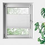 empasa Sonnenschutz Plissee Faltrollo Sichtschutz für Fenster kürzbar, in weiß, grau oder khaki, ohne Bohren, in Größen 60 x 80 cm, 80 x 100 cm, 100 x 120 cm, 120 x 140 cm, 130 x 150