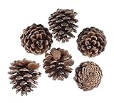 LIXBD Tannenzapfen, 36 Stück, 3-4 cm, natürliche Tannenzapfen, keine Verarbeitung, für Weihnachtsbaum-Dekoration mit Schling
