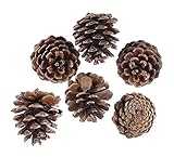 LIXBD Tannenzapfen, 36 Stück, 3-4 cm, natürliche Tannenzapfen, keine Verarbeitung, für Weihnachtsbaum-Dekoration mit Schling