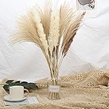 30 Pcs Pampasgras, 43cm Natürliche Getrocknete Pampasgras Pflanzen Blumensträußen Bouquet für Pampasgras vase, Boho Home Dekor, Fotografie, Hochzeit, Events, Bürodek