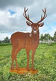 Hirsch XXL nach vorne 150x85cm Edelrost Rost Metall Rostfigur REH Kitz Tier + Original Pflegeanleitung von Steinfigurenw