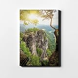 DesFoli Dschungel Felsen Wald Sonnenschein Leinwand LH0981 Größe 50 cm x 70