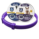 Anti-Floh- und Zeckenhalsband verstellbares Hundehalsband für Katzen insektensicheres Gummi-Flohhalsband für Haustiere Katzenzubehör-lila_Box_38cm_for_C