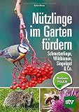 Nützlinge im Garten fördern: Schmetterlinge, Wildbienen, Singvögel & C