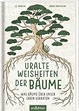 Uralte Weisheiten der Bäume: Was Bäume über unser Leb