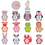 TOYANDONA 24 Stücke Baby Monatliche Aufkleber Meilenstein Sticker Schwangerschaft Aufkleber Foto Requisiten Sticker Babydusche Geschenk für Neugeborene Baby
