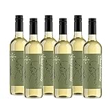Amazon-Marke - Compass Road Weißwein Chardonnay, Südafrika (6x0,75L)
