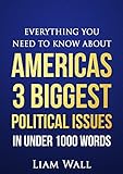Real Clear Politics: Everything You Need To Know About Americas 3 Biggest Political Issues in Under 1000 Words (English Edition)