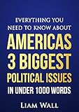 Real Clear Politics: Everything You Need To Know About Americas 3 Biggest Political Issues in Under 1000 Words (English Edition)