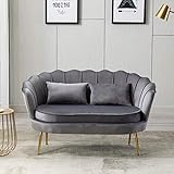 NZXVSE 2 sitzer Sofa Schlafsofa Zweisitzer Klein 2-Sitzer Couch,Modernes zeitgenössisches Samt-Loveseat-Sofa Doppelcouch,Gepolsterter Wannenstuhl mit goldenen Metallbeinen für Wohnzimmer,G
