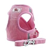 PET SPPTIES Hunde Laufgeschirre, Haustier Hund Weste Verstellbare Hundegeschirr, Soft Air Mesh Weste für Kleine Hunde Katze PS042 (XS,Pink)