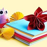 AdoN 100 Blatt farbiges Druckerpapier DIN A4,10 Farben, 80g/m² Kopierpapier farbig, DIY B