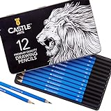 Castle Art Supplies 12 Stück Zeichnung Bleistifte Set für Erwachsene Künstler | Hochwertige Graphit Skizze Bleistifte mit Zinn Fall | Perfekte Skizze Bleistifte oder Top Up Set für Art Supp
