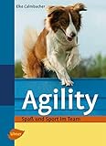 Agility: Spaß und Sport im T