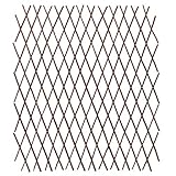 Scherengitter Ausziehbar Variable Rankhilfe Rankgitter Holz-Spalier Oder Scherenspalier Rankhilfe Im Garten Natur(Höhe 40cm)