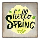 Aihesui CDYSKJCO Holzschild Wandschild Home Decor Vintage Style Hello Spring Green Leaf Distressed Schild Lustiges Zitat Holzschild Wandschild für Bauernhaus Zimmer Haus Geschenkidee für F