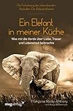 Ein Elefant in meiner Küche: Was mir die Herde über Liebe, Trauer und Lebensmut beib