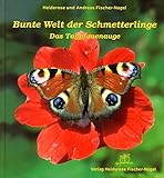 Bunte Welt der Schmetterlinge: Das Tagpfauenaug