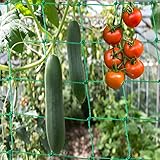 Ranknetz Premium mit großer Maschenweite für den perfekten Wachstum von Gurken, Tomaten und Kletterpflanzen Das Optimale Rankhilfe Netz für Garten und Gewächshaus – Größe 3,5 x 2