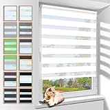 Doppelrollo Klemmfix 75x120cm(BxH) Weiß Sichtschutz,Rollos für Fenster Tür ohne Bohren Blickdicht und Sonnenschutz,Duo Rollo Fensterrollo innen Wandmontage auch mög