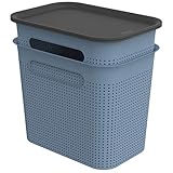 Rotho Brisen 2er-Set Aufbewahrungsbox Deckel, Kunststoff (PP recycelt), blau, 2X 7l, (26,6 x 18,5 x 26 cm), 2