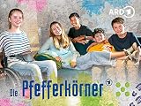 Die Paketag