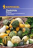 Sperli Blumensamen Zierkürbis Mischung, grü