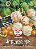 80640 Sperli Premium Physalis Samen Inkapflaume | Vitaminreich | Wüchsig | Ertragreich | Physalis Saatgut | Andenb