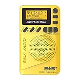 Pocket Mini DAB/DAB + Digital Radio, UKW-Radio, MP3-Player, großes LCD-Display, guter Soundlautsprecher, Lange Akkulaufzeit-G